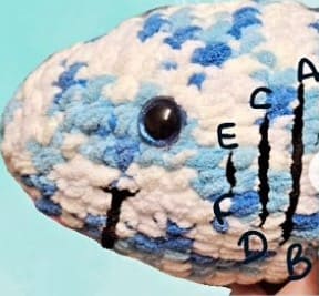 embroider gills